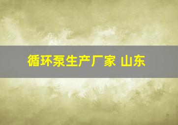 循环泵生产厂家 山东